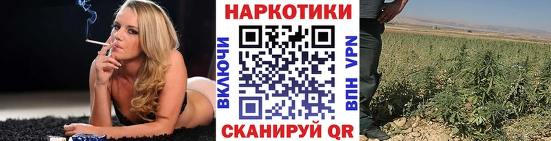 Где купить Заозёрск Галлюциногенные грибы COCAIN ГАШ Канабис АМФ
