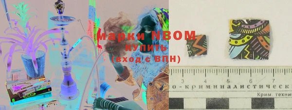 гашик Володарск