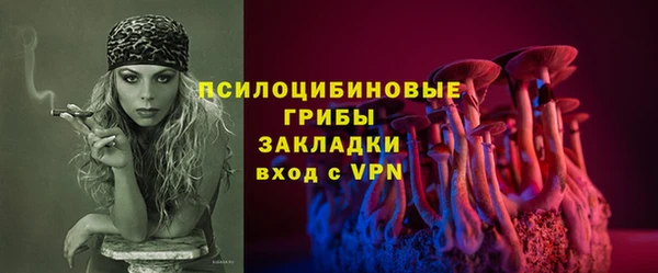 гашик Володарск