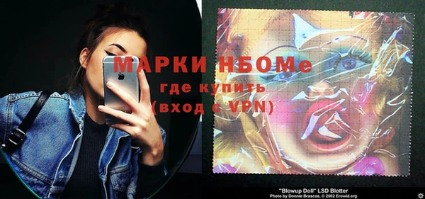 стаф Вязьма