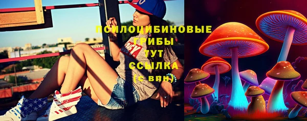 гашик Володарск