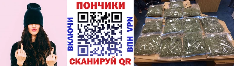 Бошки Шишки марихуана  купить  цена  mega онион  Заозёрск 